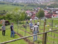 Weinfreunde Neudorf eV  -  Aus den ersten 10 Jahren