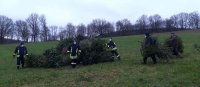 Einsammeln und Verbrennen der Weihnachtsbäume am 15.01.2022