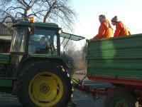 Einsammeln der Weihnachtsbäume am 11.01.2013