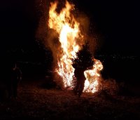 Verbrennen der Weihnachtsbäume am 11.01.2020