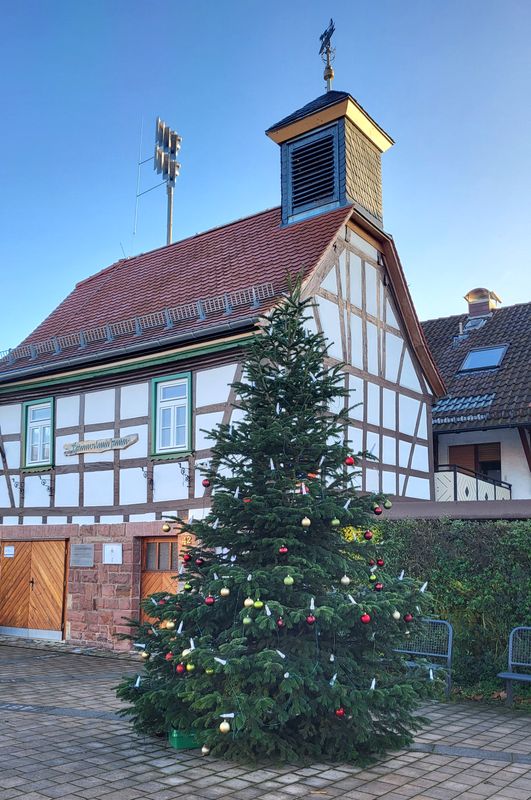 Weihnachtsbaum am Dalles