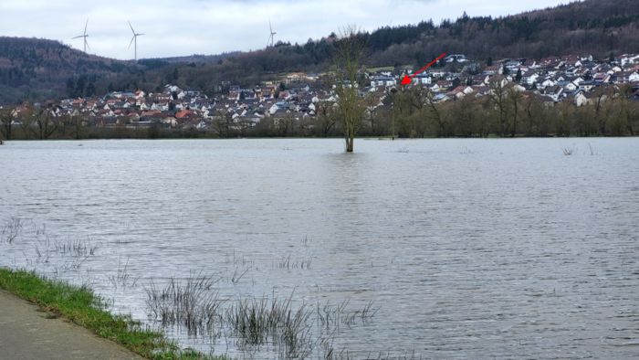 Hochwasser rund um die Storchenplattform am 23.02.2024