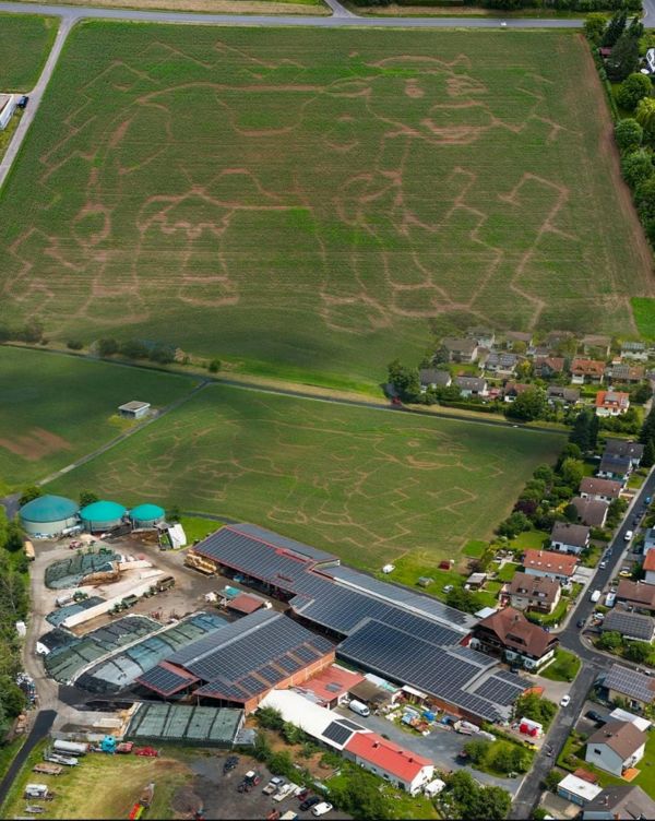Maislabyrinthe von oben