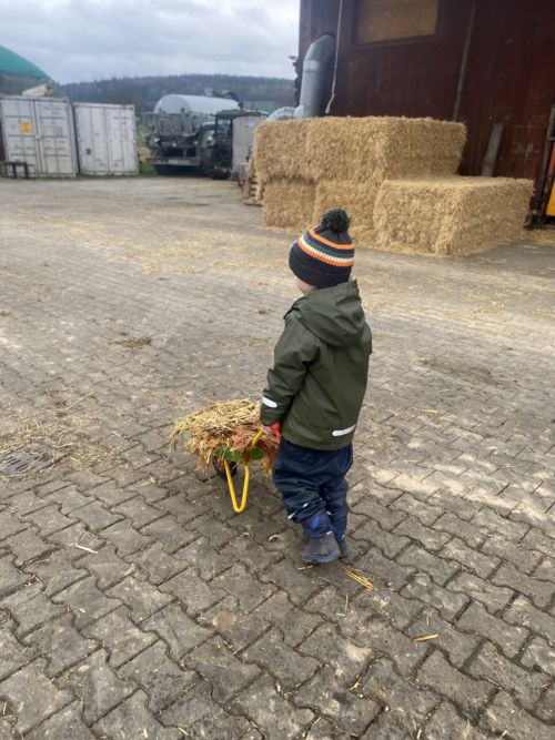 Beim Ausmisten