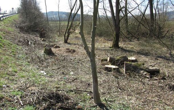 Ungepflegt nach den Pflegearbeiten