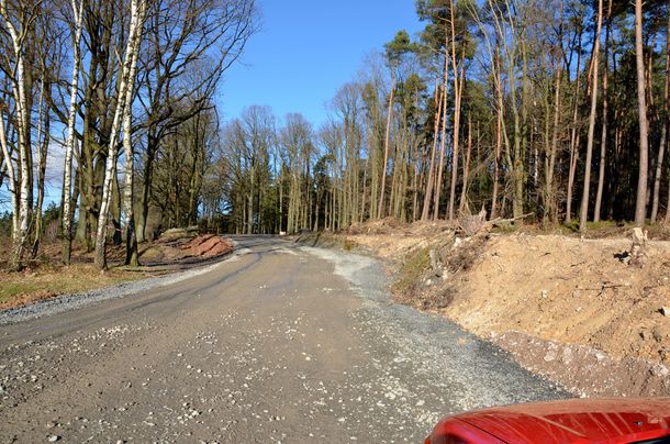 Verbreiterter Waldweg (Zufahrt zu WEA4)