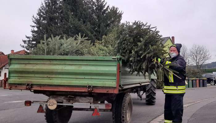 Einsammeln der Weihnachtsbäume am 15.01.2022