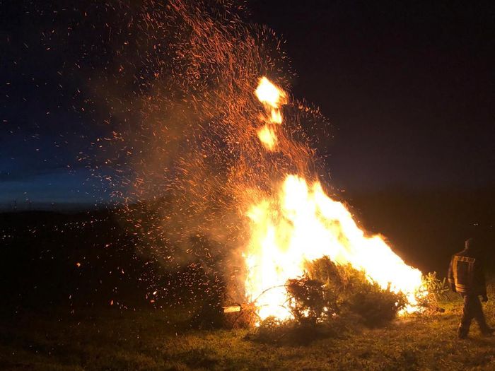 Weihnachtsbaumverbrennung 2020