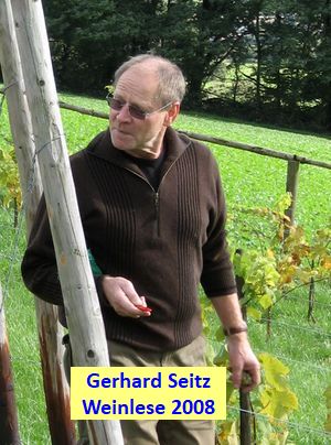 2008  -  Gerhard Seitz bei der Weinlese