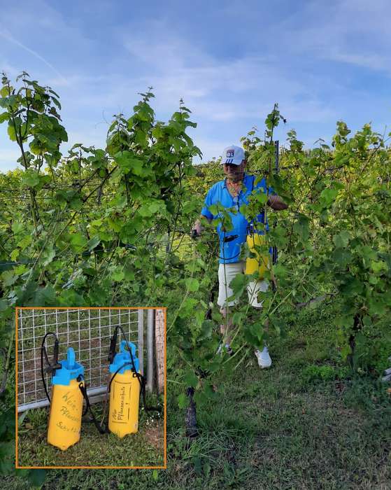 Einsatz von Pflanzenschutzmitteln 