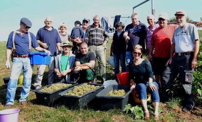 Teilnehmer an der Weinlese 2016 